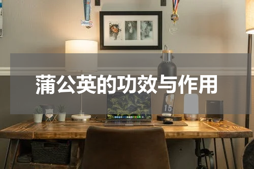 蒲公英的功效与作用