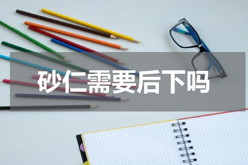 砂仁需要后下吗