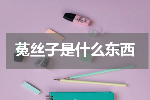 菟丝子是什么东西