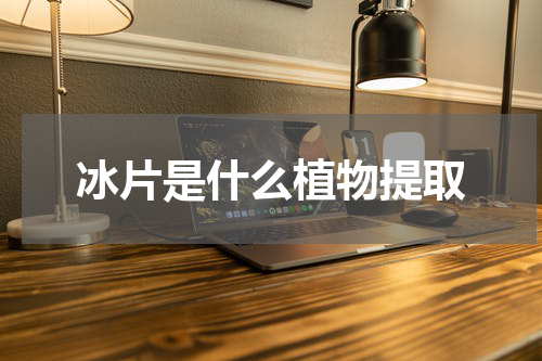 冰片是什么植物提取