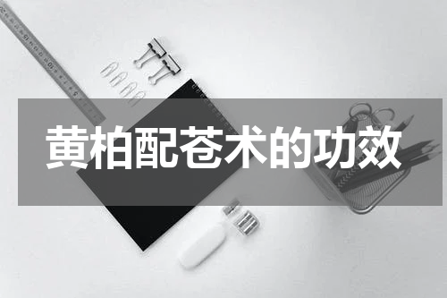 黄柏配苍术的功效