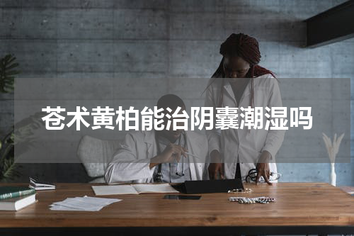 苍术黄柏能治阴囊潮湿吗