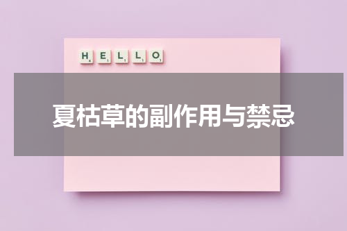 夏枯草的副作用与禁忌