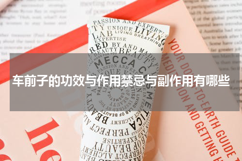 车前子的功效与作用禁忌与副作用有哪些
