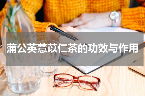 蒲公英薏苡仁茶的功效与作用