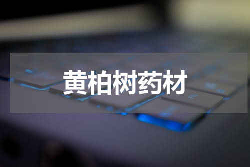 黄柏树药材