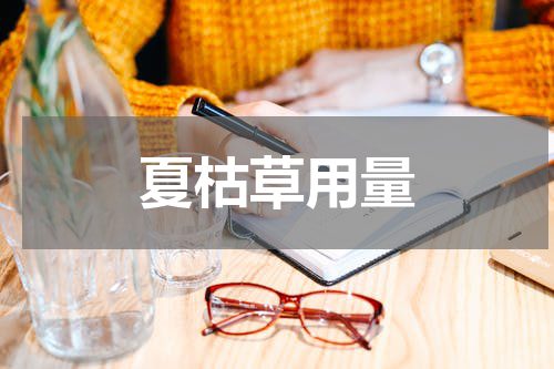 夏枯草用量