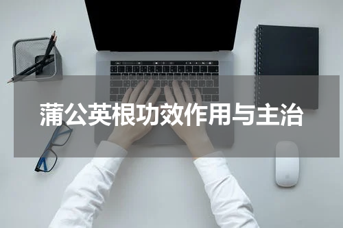 蒲公英根功效作用与主治