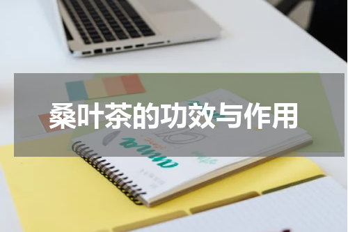 桑叶茶的功效与作用