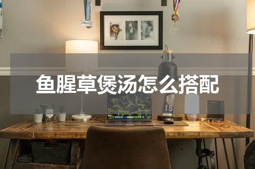 鱼腥草煲汤怎么搭配