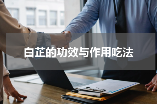 白芷的功效与作用吃法