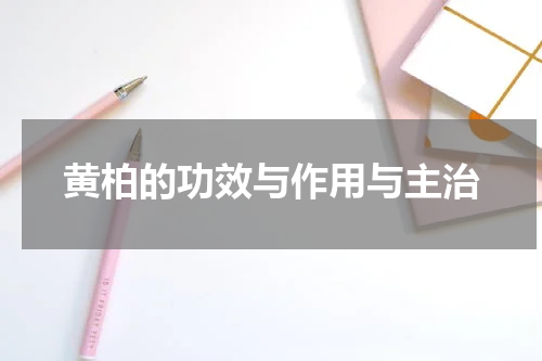 黄柏的功效与作用与主治