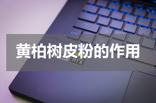 黄柏树皮粉的作用