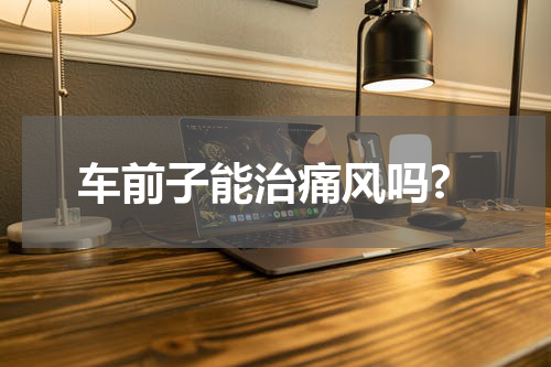 车前子能治痛风吗?