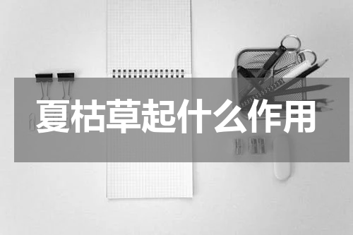 夏枯草起什么作用