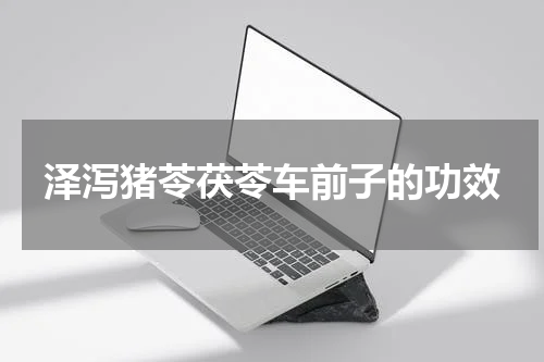 泽泻猪苓茯苓车前子的功效