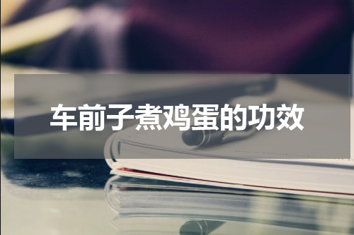 车前子煮鸡蛋的功效
