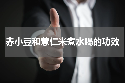 赤小豆和薏仁米煮水喝的功效