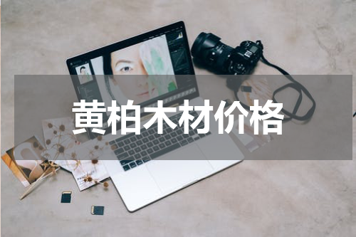 黄柏木材价格