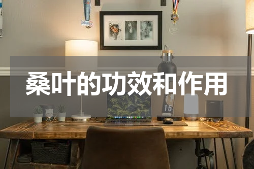 桑叶的功效和作用