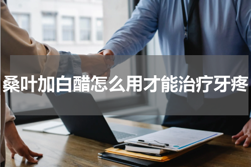 桑叶加白醋怎么用才能治疗牙疼