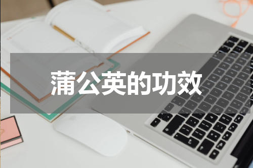 蒲公英的功效