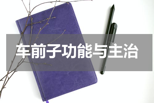 车前子功能与主治