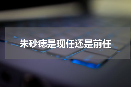 朱砂痣是现任还是前任