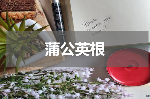 蒲公英根