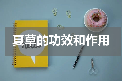 夏草的功效和作用