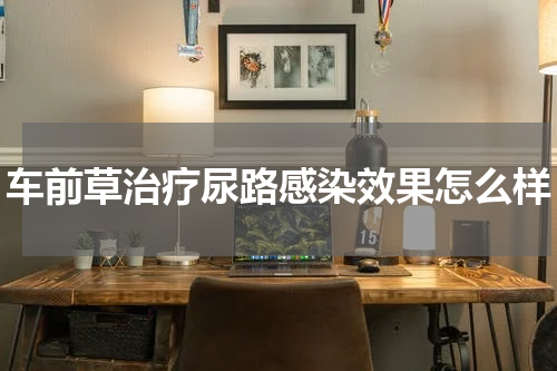 车前草治疗尿路感染效果怎么样