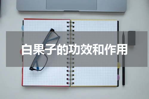 白果子的功效和作用