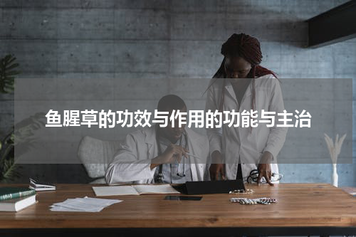 鱼腥草的功效与作用的功能与主治