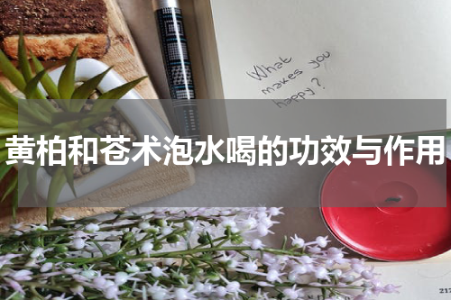 黄柏和苍术泡水喝的功效与作用