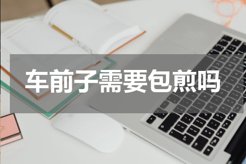 车前子需要包煎吗