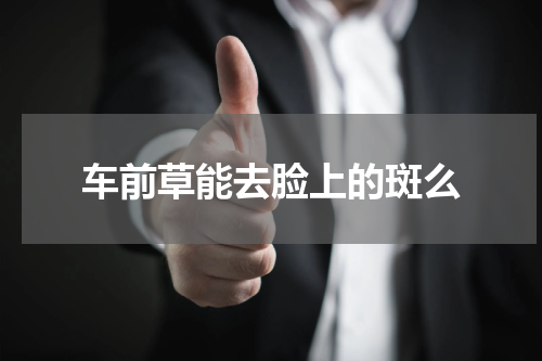 车前草能去脸上的斑么