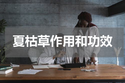 夏枯草作用和功效