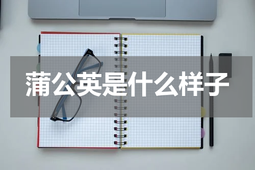蒲公英是什么样子