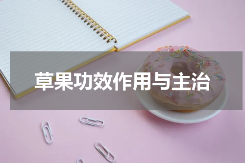 草果功效作用与主治