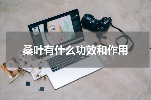 桑叶有什么功效和作用