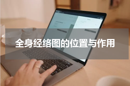 全身经络图的位置与作用