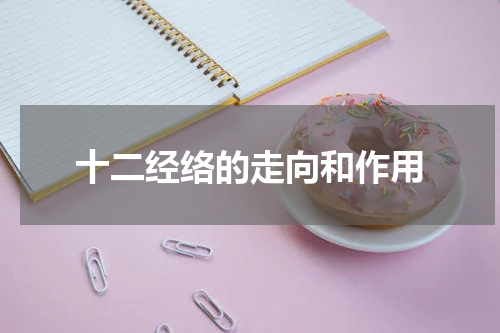 十二经络的走向和作用