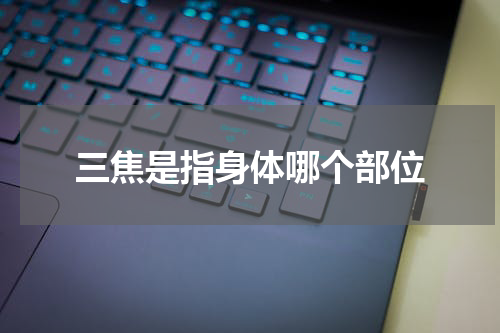 三焦是指身体哪个部位