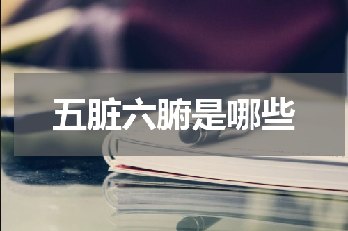 五脏六腑是哪些