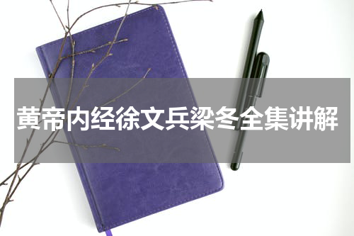 黄帝内经徐文兵梁冬全集讲解