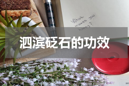 泗滨砭石的功效
