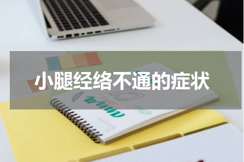 小腿经络不通的症状
