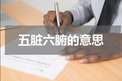 五脏六腑的意思