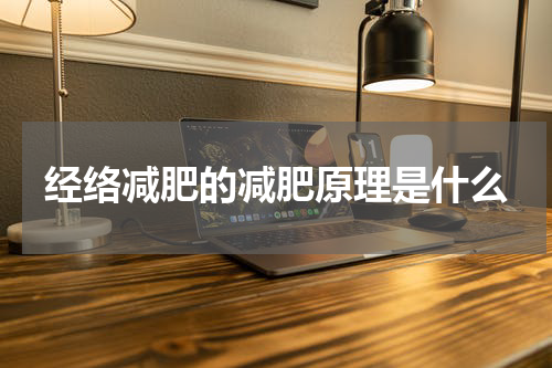 经络减肥的减肥原理是什么