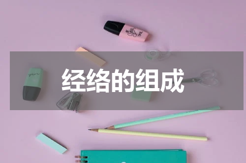 经络的组成
